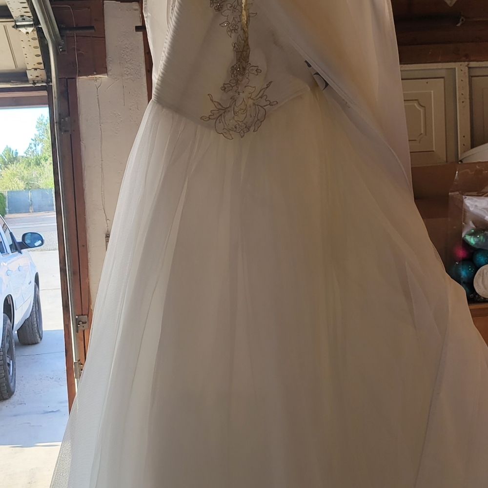 Lucky wedding dress
